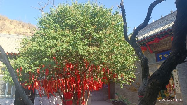 三清观旅行图片 4