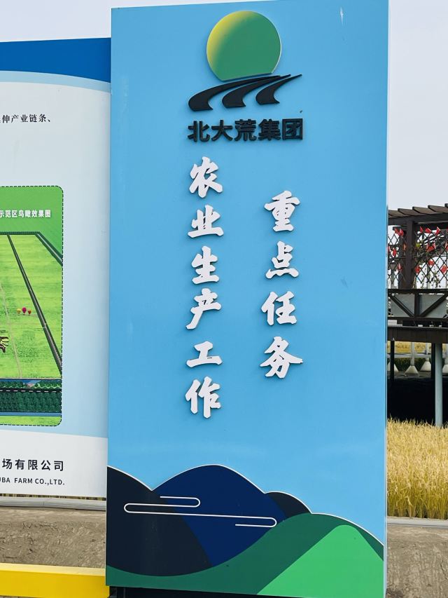 八五八农场千岛林稻田画旅行图片 1