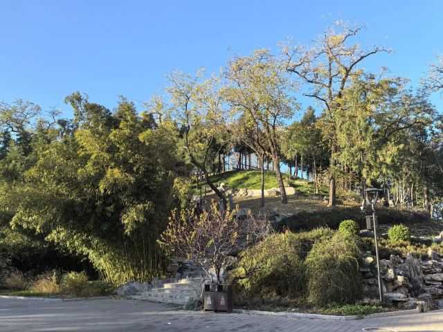 北京东单公园游玩攻略简介,北京东单公园门票/地址/图片/开放时间/照片/门票价格【携程攻略】
