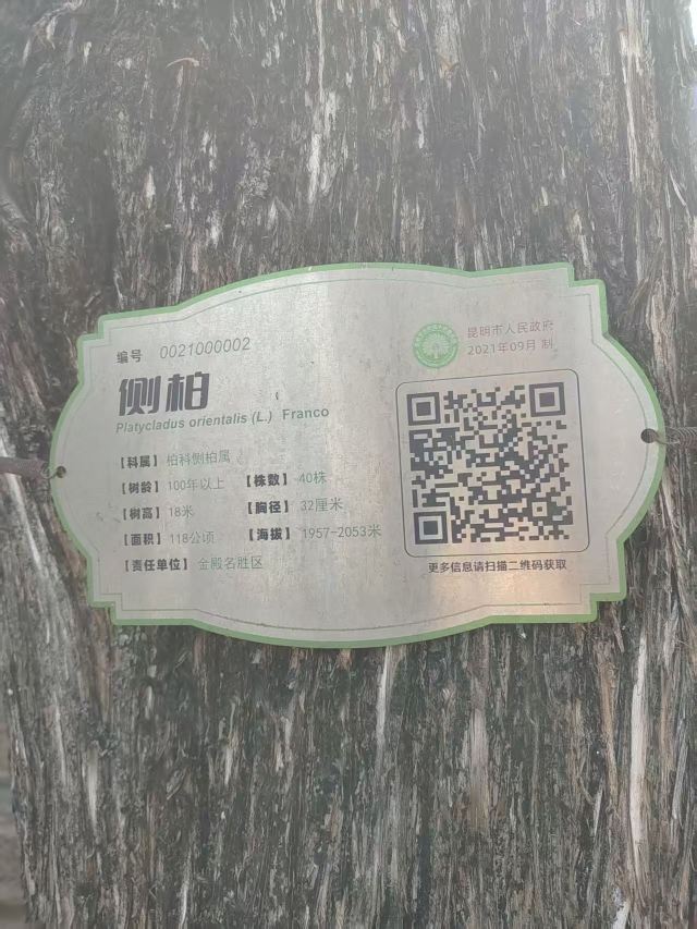 金殿风景名胜区旅行图片 3