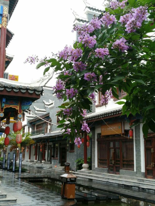 荔波古镇旅行图片 13