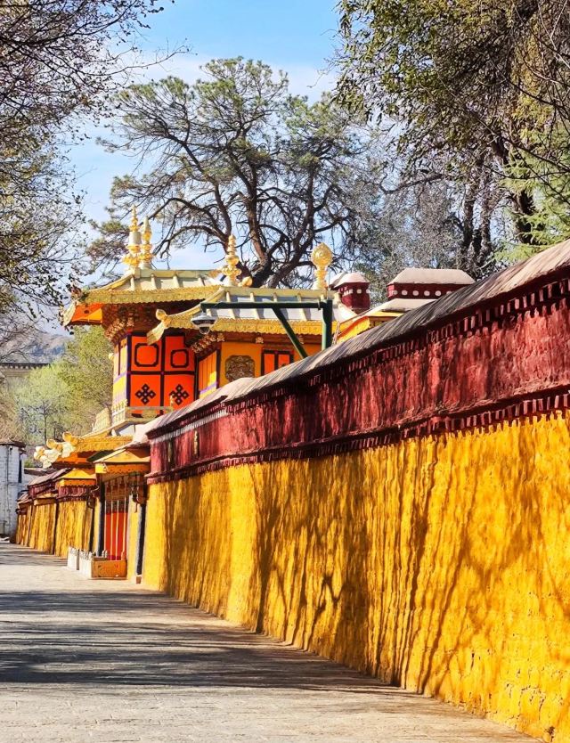 罗布林卡旅行图片 2