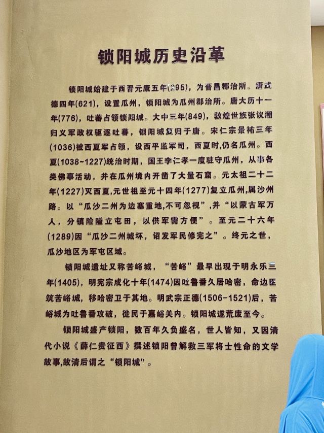 锁阳城遗址旅行图片 1