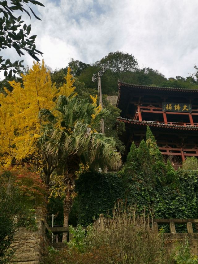皇泽寺景区旅行图片 4
