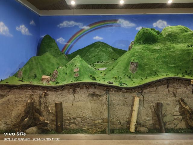 香炉山国家森林公园-自动售卖机旅行图片 9
