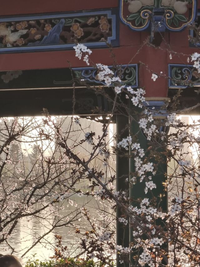 西安航天城文化生态园旅行图片 2