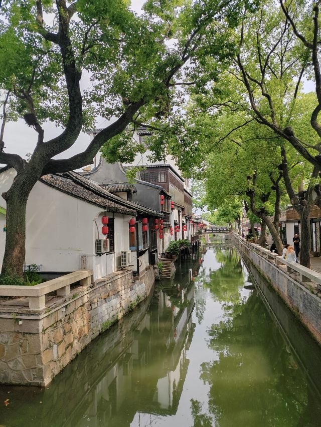 新场古镇旅行图片 3