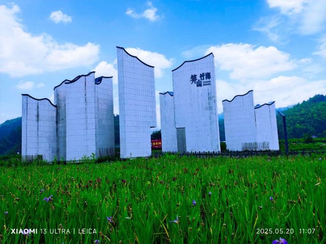 笄山竹海旅行图片 2