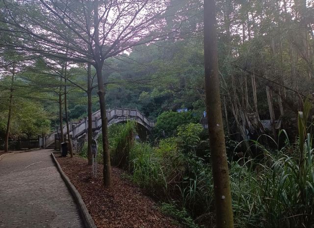 五象岭森林公园旅行图片 7