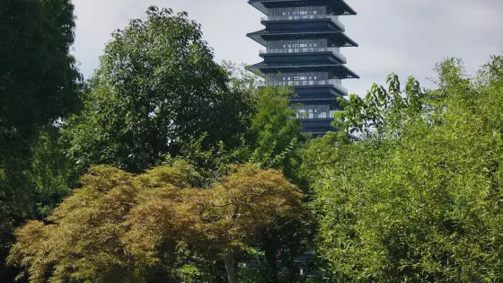 三灣公園