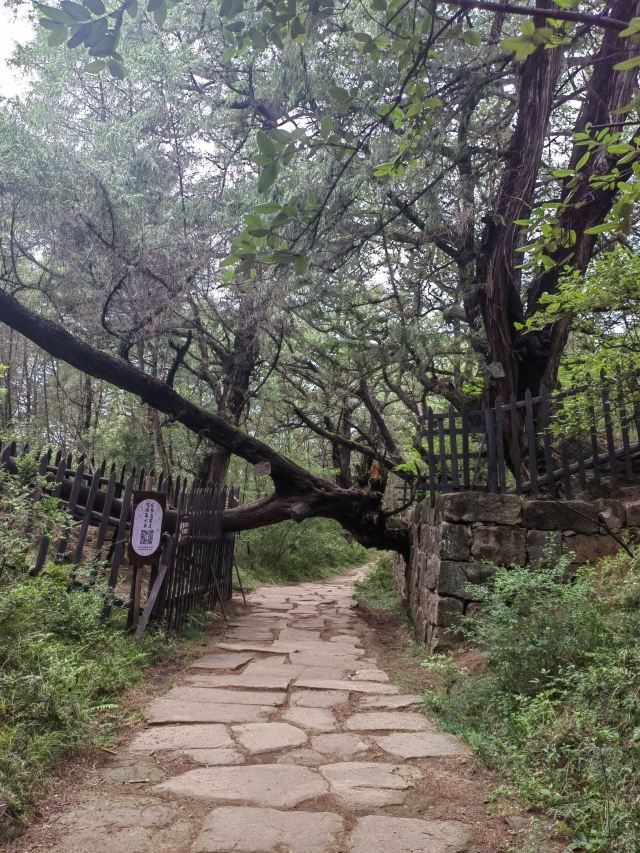 先秦古蜀道旅行图片 3