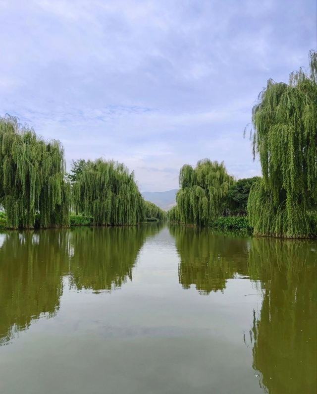 麒麟水乡旅行图片 8