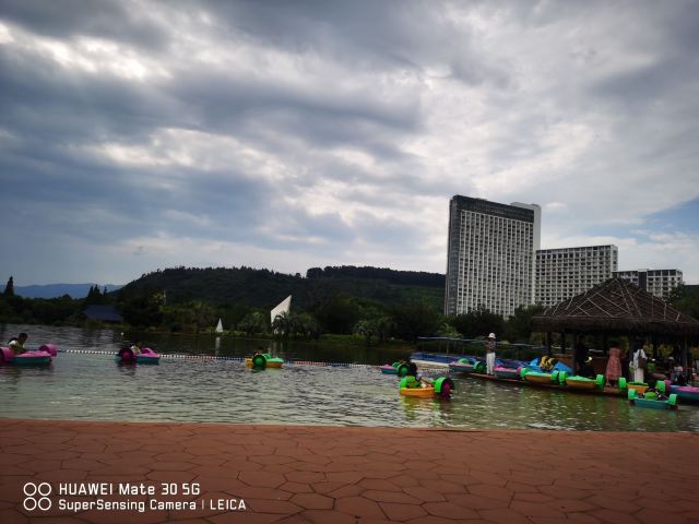 抚仙湖国际度假小镇湖畔森林公园旅行图片 1