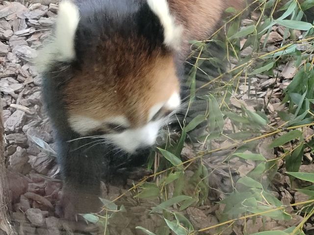 茅山森林世界旅行图片 2