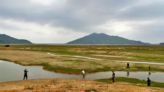 星鷺營地