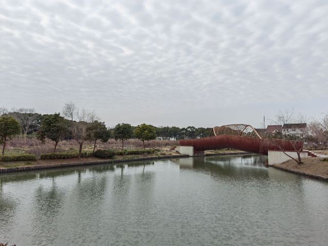 上海漕泾郊野公园旅行图片 5