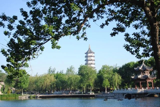 黎明公园旅行图片 3