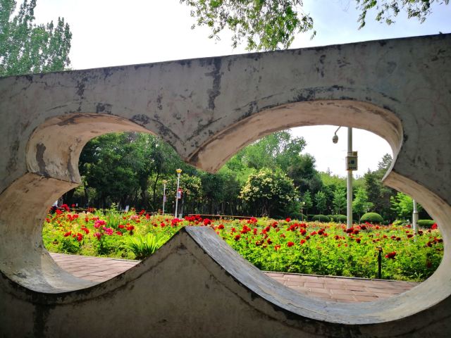 西公园旅行图片 2