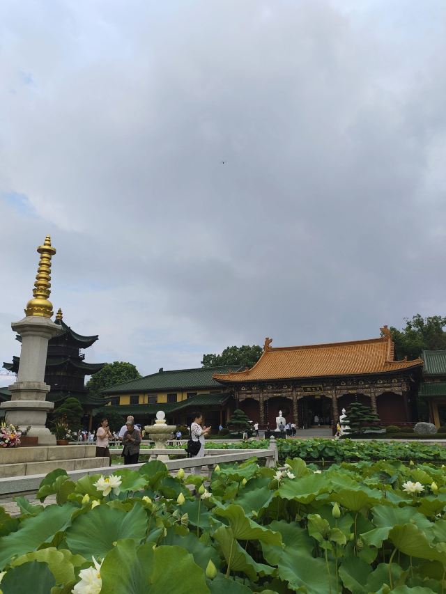 东林寺旅行图片 4