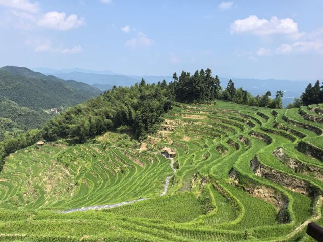 紫鹊界梯田景区旅行图片 1