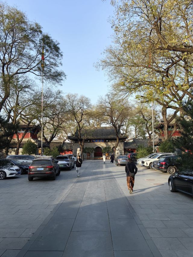 广济寺旅行图片 2