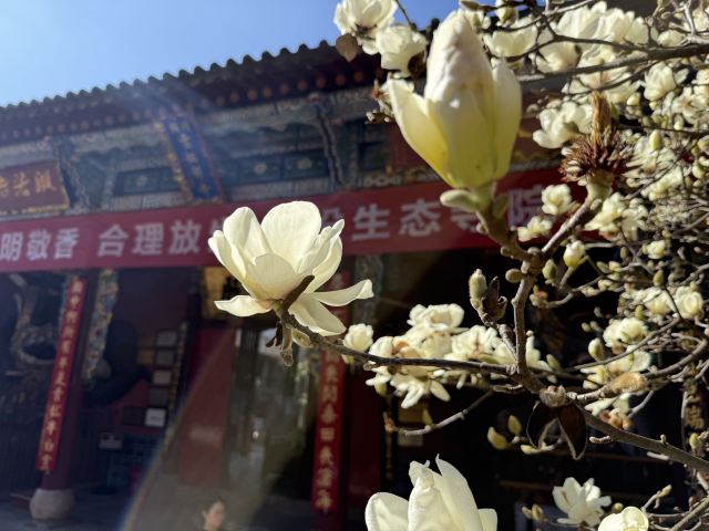 西山风景区旅行图片 6