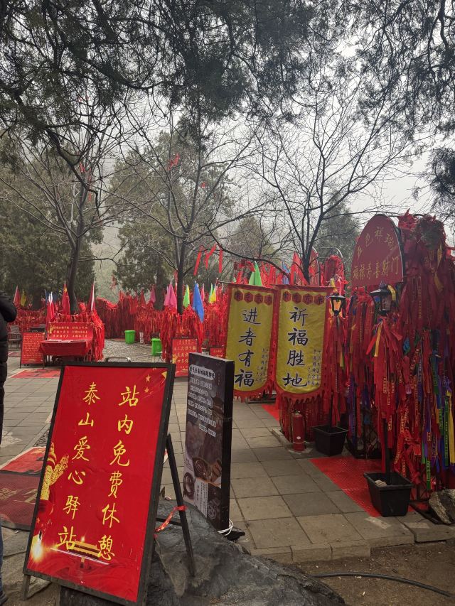 岱庙旅行图片 1