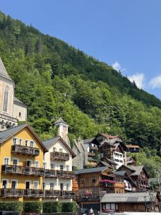 哈尔施塔特-萨尔茨堡-叮当的猫猫鱼