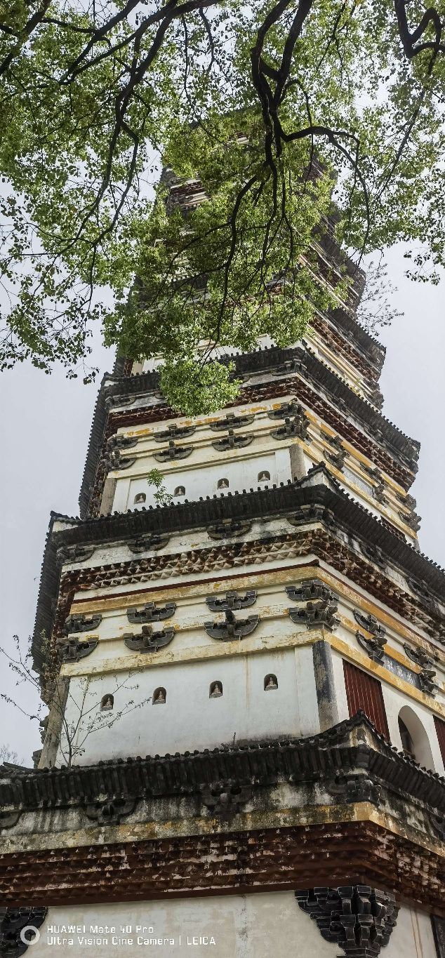 庐山西林寺旅行图片 7