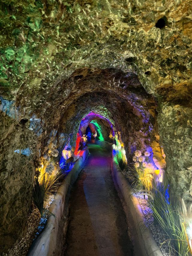 金梭岛旅行图片 1