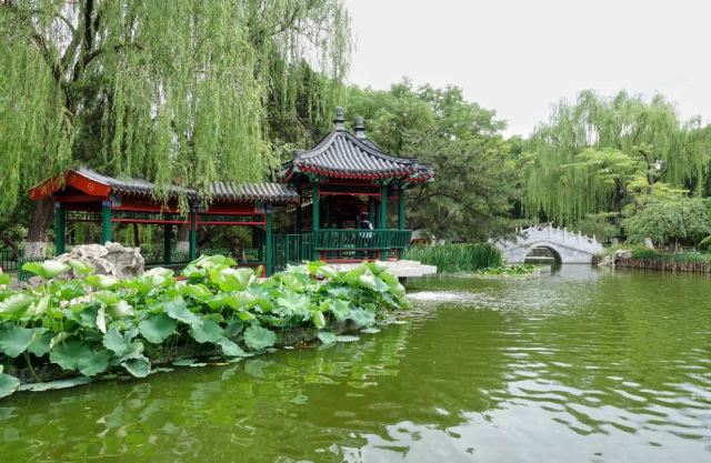 宣武艺园旅行图片 6