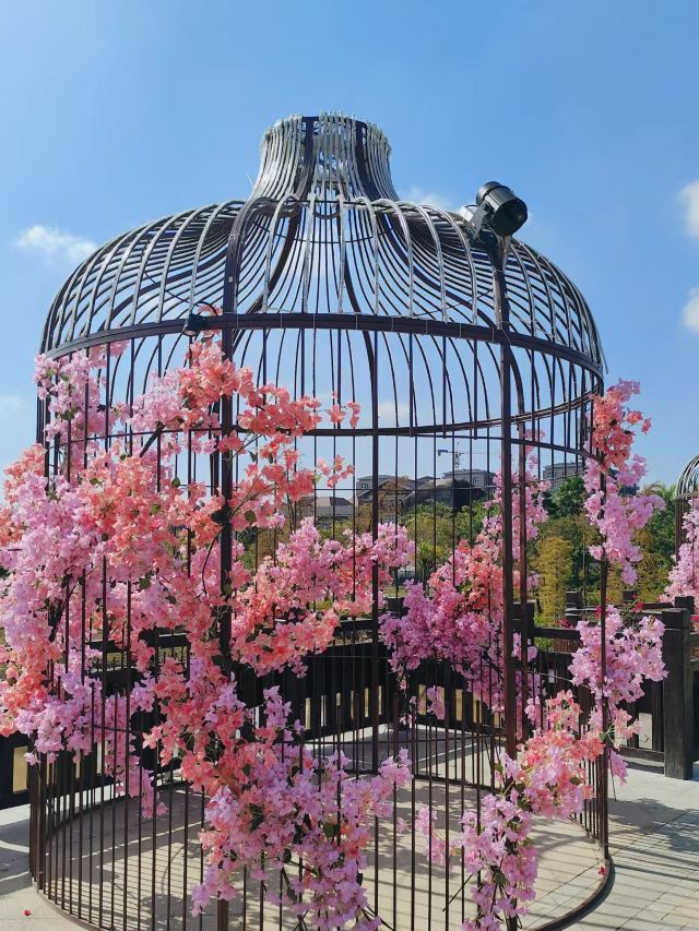 中央公园旅行图片 1