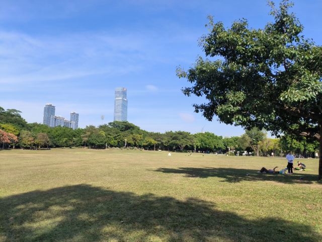 莲花山公园旅行图片 5