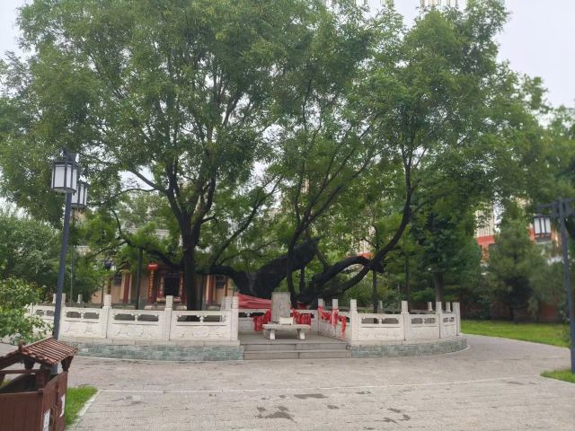 狄仁杰文化公园旅行图片 2