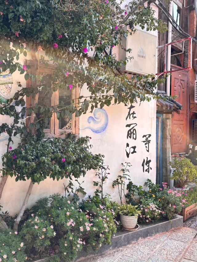 束河古镇旅行图片 3