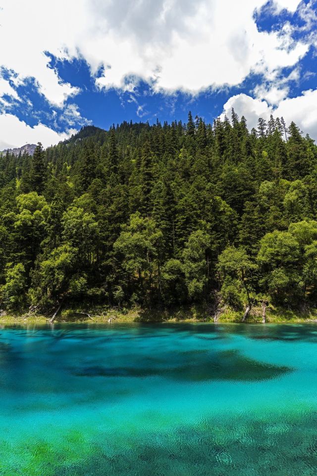 九寨沟景区五彩池观景台旅行图片 2