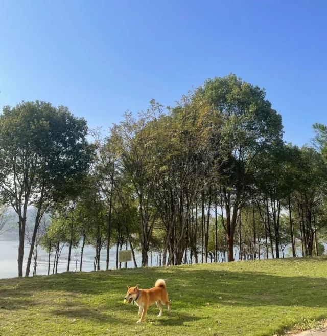 水府旅游区旅行图片 3