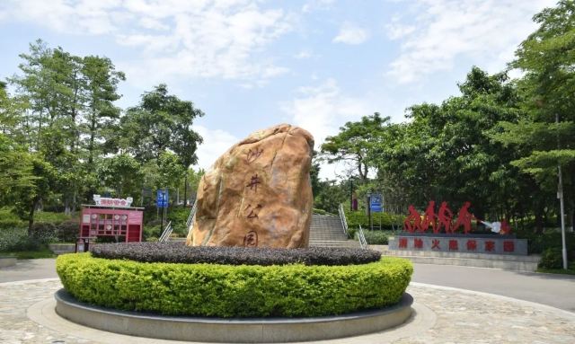 深圳沙井公园旅行图片 1