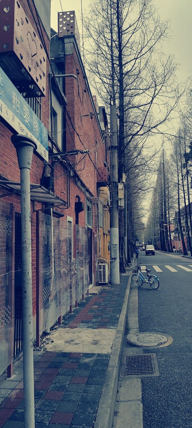 甜爱路旅行图片 1