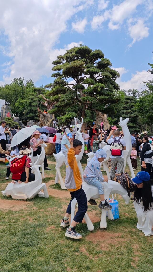 白鹿森林旅行图片 7