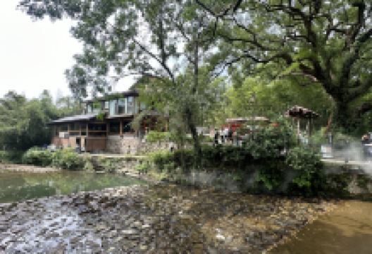 千年古樟群景点图片