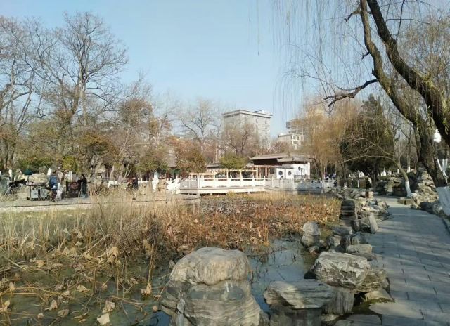 莲湖公园旅行图片 2