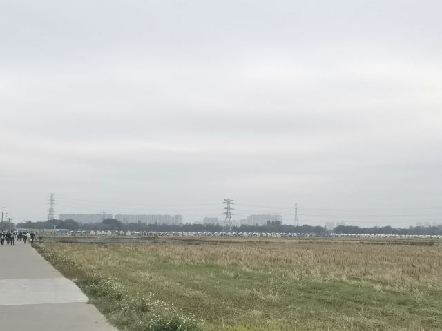幸福花海旅行图片 2