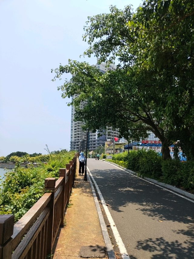 礁石公园旅行图片 3
