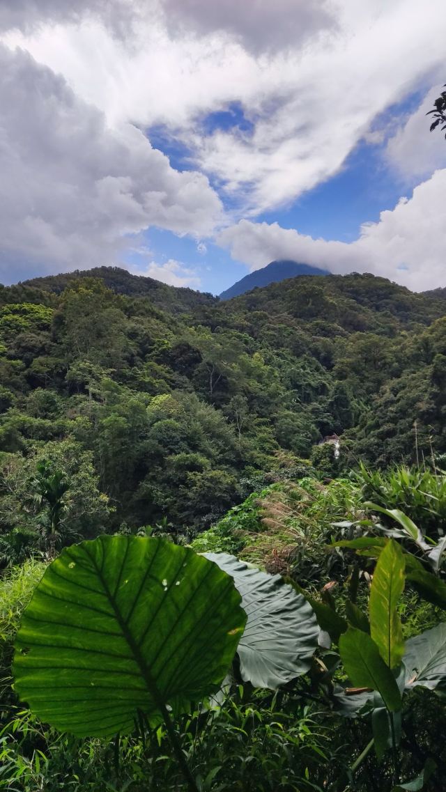 海南热带雨林国家公园五指山景区旅行图片 4