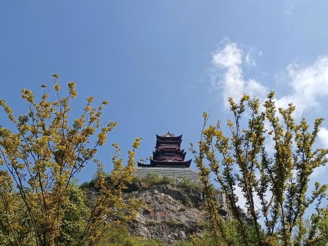 阳明心谷景区旅行图片 3