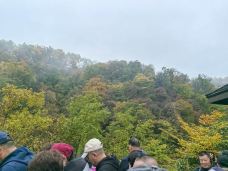 天然画廊-南江-可乐味的柠萌哒啦