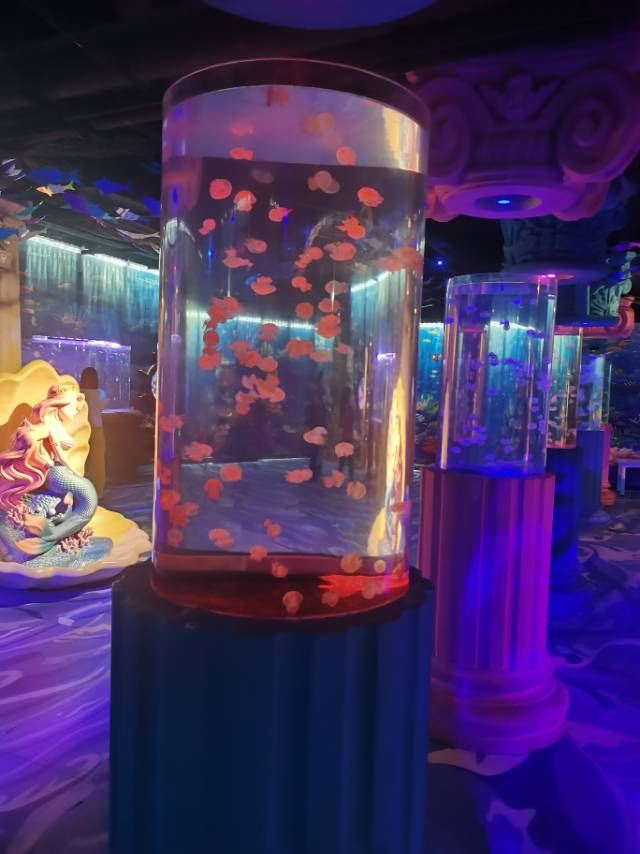 秦皇岛新澳海底世界旅行图片 1