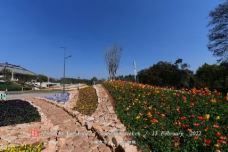 金丰农科园-廊坊-一蓑烟雨0828