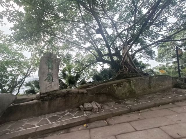 鹅岭公园旅行图片 11